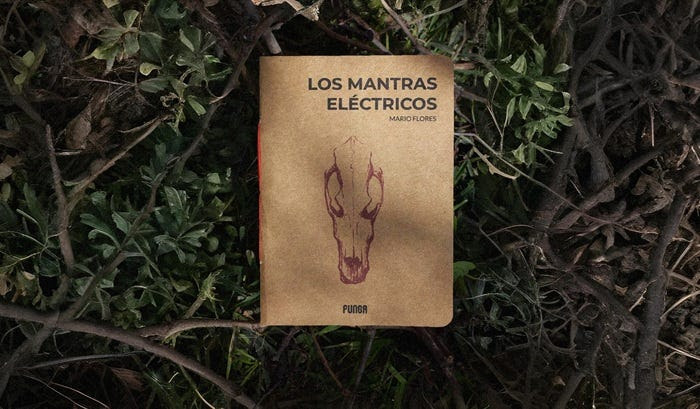 Los mantras eléctricos